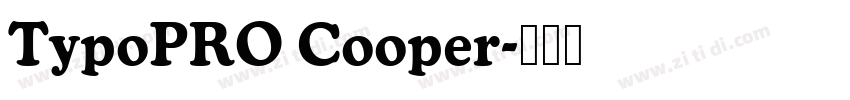 TypoPRO Cooper字体转换